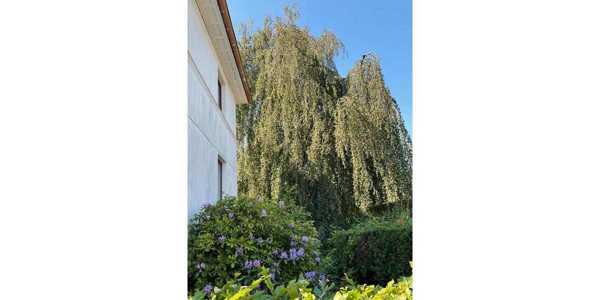 Einfamilienhaus Waldbröl - 8 Zimmer, 150 m&sup2;, 220.000&euro; | Angebot:26061112