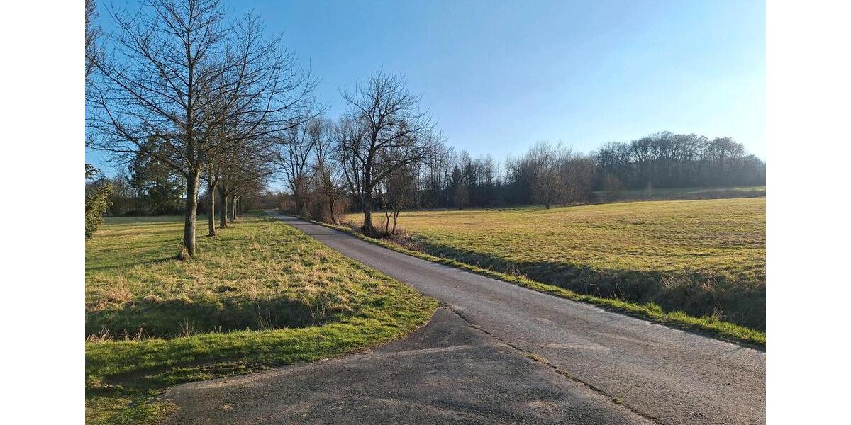 Bungalow Hattert - 4 Zimmer, 100 m&sup2;, 1.300&euro; | Angebot:25621470