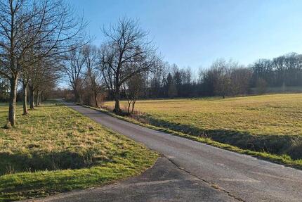 Haus Hattert - 4 Zimmer, 100 m&sup2;, 1.300&euro; | Angebot:25621470