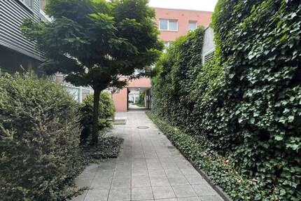 Wohnung Siegen - 1 Zimmer, 67 m&sup2;, 503&euro; | Angebot:23937122