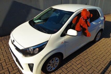 Kia Picanto 1.143 km 13.511 &euro; Kreuztal-Krombach 57223