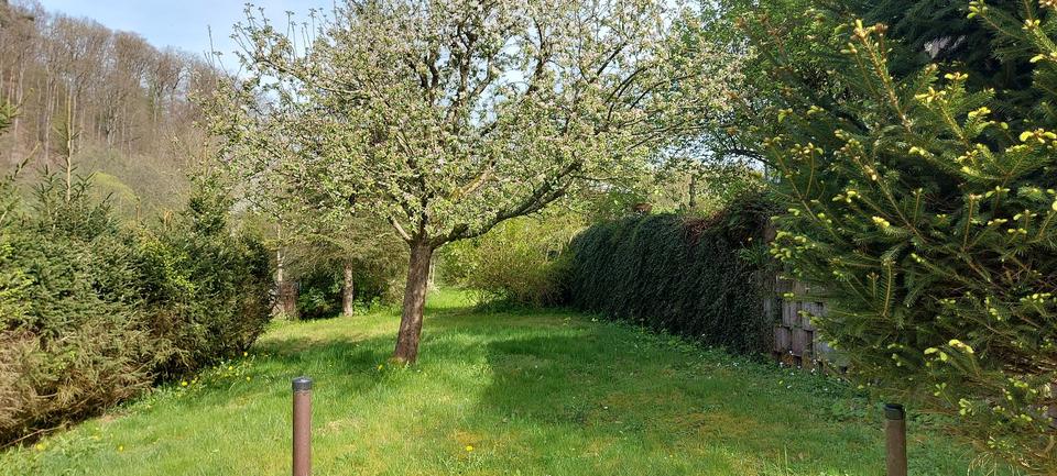 Etagenwohnung Malberg - 4 Zimmer, 89 m&sup2;, 710&euro; | Angebot:25971961