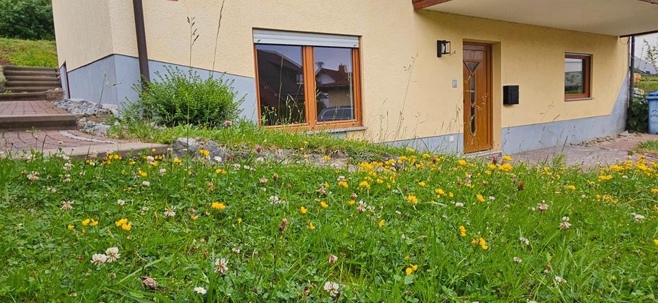 Erdgeschoßwohnung Dillenburg Manderbach - 2 Zimmer, 90 m&sup2;, 217.000&euro; | Angebot:26844349