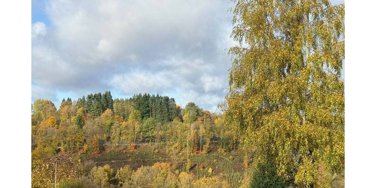 Grundstück Bölsberg - 35.000&euro; | Angebot:25691821